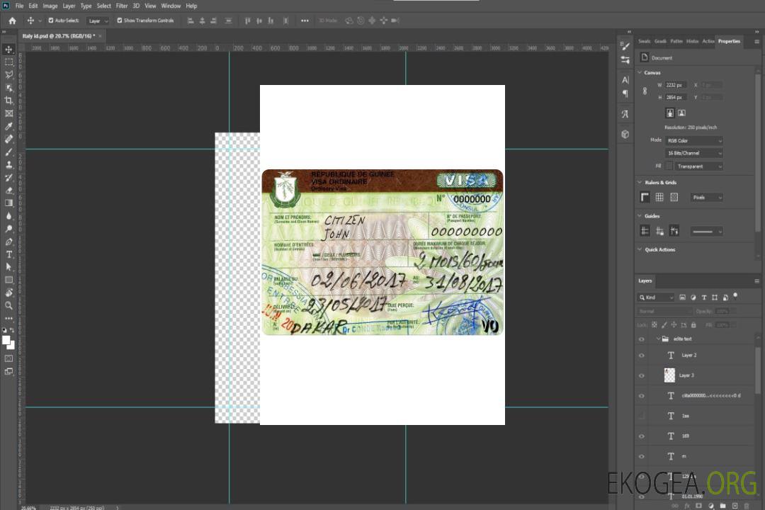 Visa de voyage GUINEE template